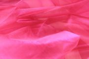 Organtyna jednotonowa – Fuchsia