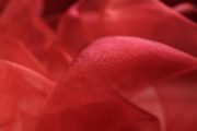 Organtyna jednotonowa - Dark Red
