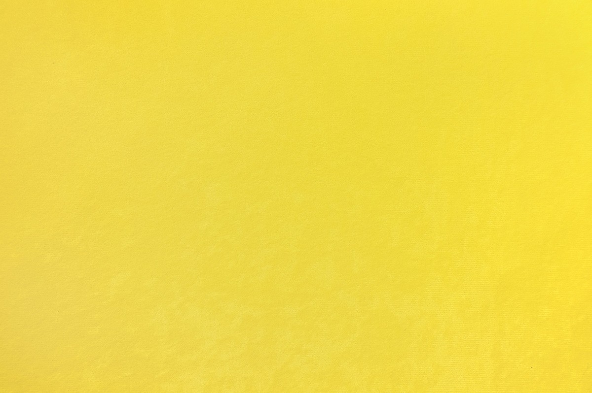 Mikrowelur – nr 021