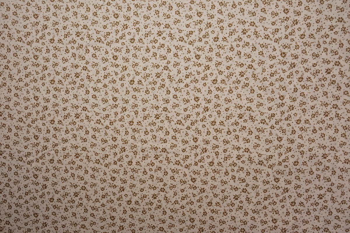 Bawełna drukowana - kwiatki cream