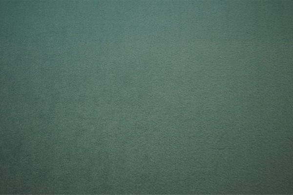 Polar w kolorze dark old green